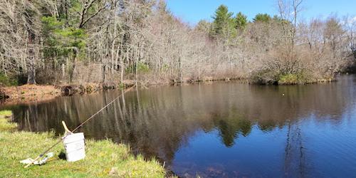 Fishing Hole - Pachaug State Forest (Chapman & Green Falls areas) - Voluntown, CT