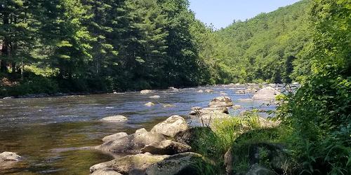 Riverbank - American Legion & Peoples State Forest - Barkhamsted, CT - Photo Credit John Carter