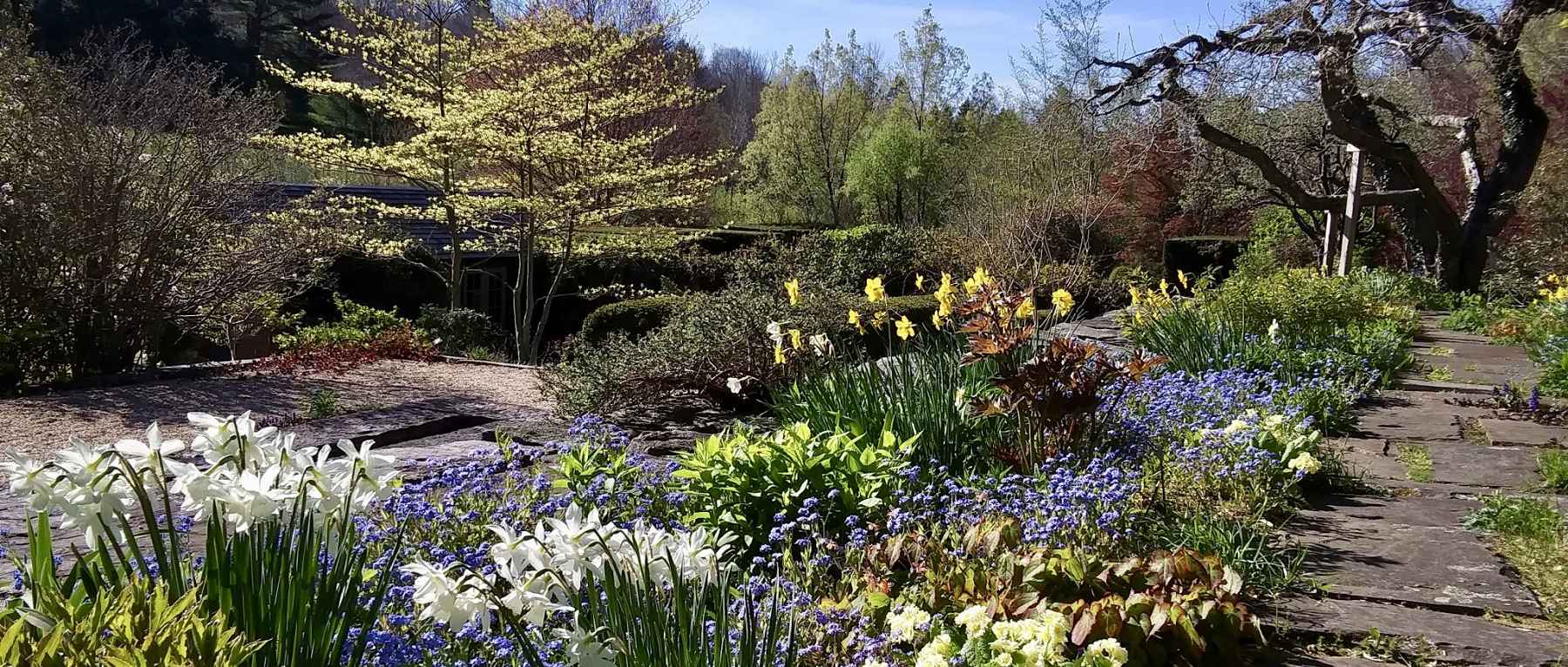 Spring Bloom at Hollister House Garden in Washington, CT